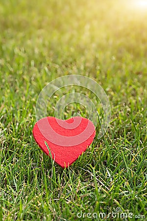 Red heart on the green grass backgrounds with copy space Stock Photo