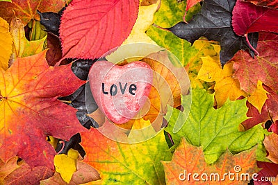 Red heart on Maple Leaves Mixed Fall Colors Background Stock Photo