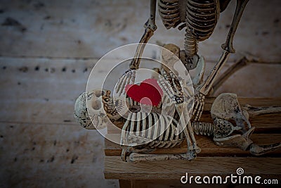 Red heart placed on human bones. Stock Photo