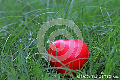 Red heart shape on grass, abstract background metaphor to lonely Stock Photo