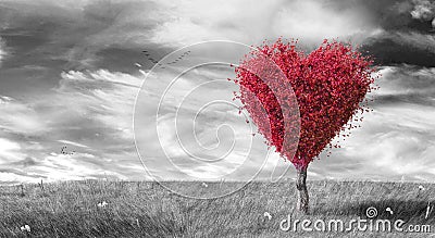 Red heart shaped tree on black & white landscaped background Stock Photo