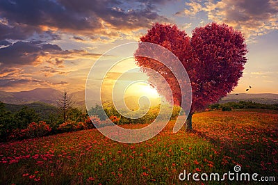 Red heart shaped tree Stock Photo