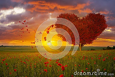 Red heart shaped tree-symbol of love and Valentine`s Day Stock Photo