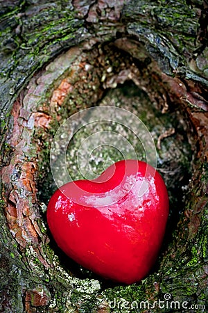 Red heart in a tree hollow. Romantic love Stock Photo