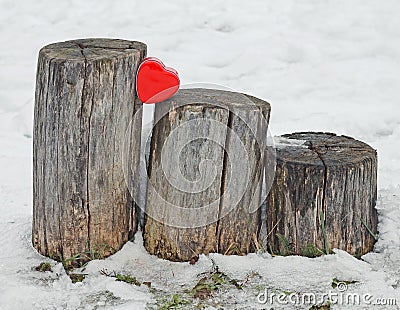 Red Heart on trunks Stock Photo