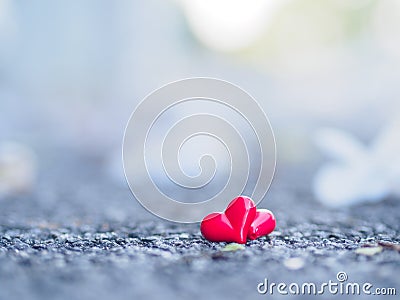 Red heart and white flower on road Stock Photo