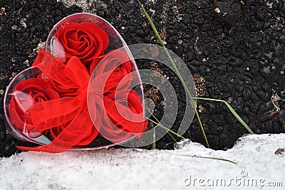 Red heart on white snow Stock Photo