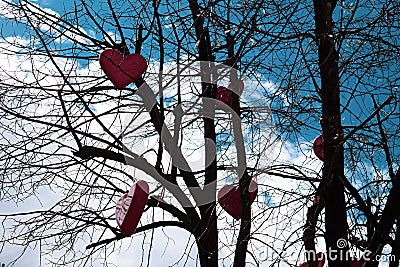 Red hearts are hanging on a tree without leaves against the sky Stock Photo