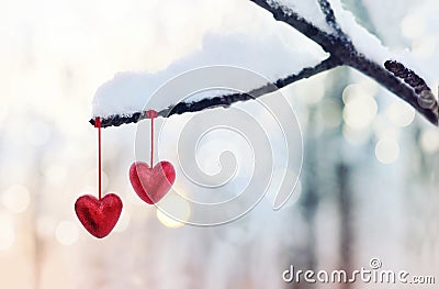 Red hearts on snowy tree branch in winter. Holidays happy valentines day celebration heart love concept. Stock Photo