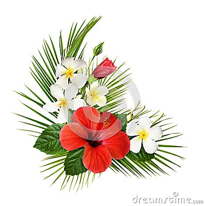 Red hibiscus and fragipani flowers with green tropical leaves in a corner exotic arrangement Stock Photo