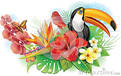 Red hibiscus, toucan and tropical flowers Vector Illustration