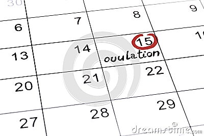 Red highlighter with ovulation day mark on calendar Stock Photo