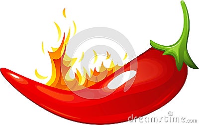 Red Hot Chili Pepper Vector Illustration