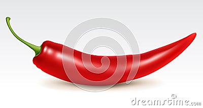 Red hot chili pepper Vector Illustration