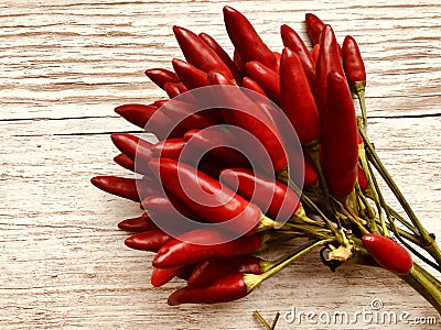 Red chili pepper bunch Stock Photo