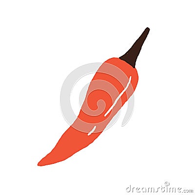 Red hot chili pepper. Mexican chilli pod. Whole spicy vegetable. Natural seasoning. Fiery burning spice. Flat vector illustration Vector Illustration