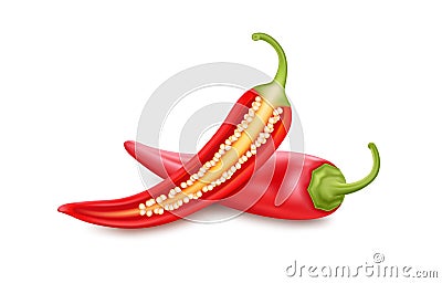 Red hot chili pepper slice with seeds Vector Illustration