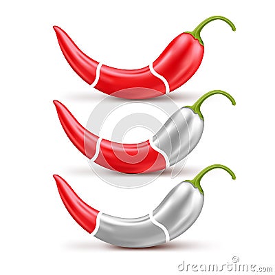 Red hot chili pepper, spiciness level, mild, medium, hot. Vector Illustration