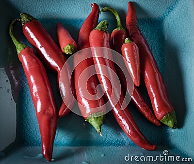 Red hot chili peppers in blue dish, colorful macro. Stock Photo