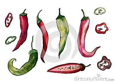 Red hot chilli peppers set. Hand drawing watercolor. Can be used for postcards, stickers, encyclopedias, menus, ingredients of Cartoon Illustration