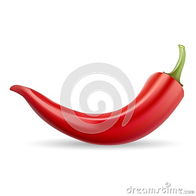 Red Hot Natural Chili Pepper Pod Realistic Image Isolated On A White Background. Vector Illustration