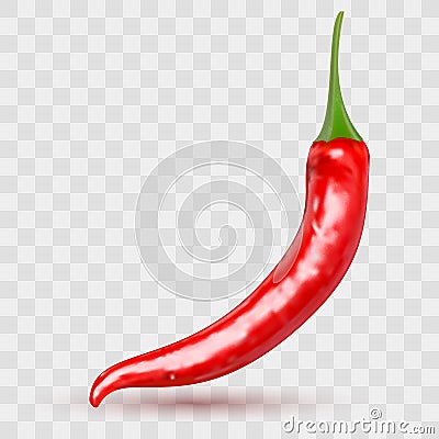 Red hot natural chili pepper pod realistic image with shadow for culinary products and recipes vector illustration Vector Illustration