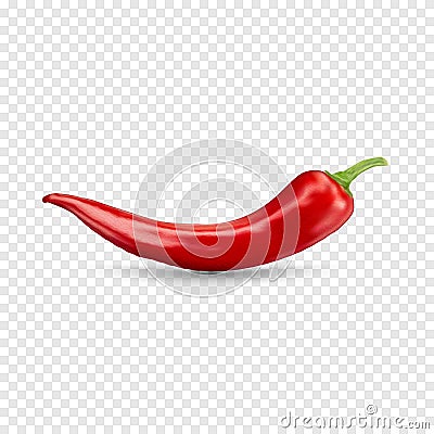 Red hot natural chili pepper pod realistic image with shadow for culinary products and recipes vector illustration Vector Illustration