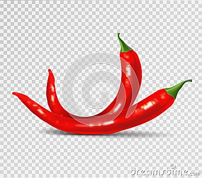 Red hot natural chili pepper pod realistic image with shadow vector illustration. Vector Illustration