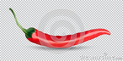 Red hot natural chili pepper pod realistic image with shadow for culinary products and recipes vector illustration Vector Illustration