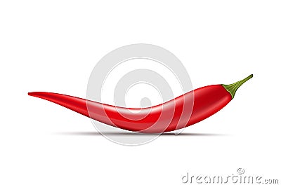Red hot natural chili pepper pod realistic image with shadow vector illustration. Vector Illustration