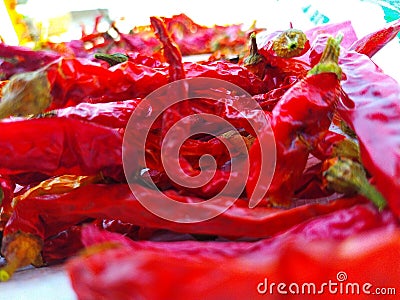 Red hot spicy chilly keeping in sunlight to dehydrate highly acrid in taste Stock Photo