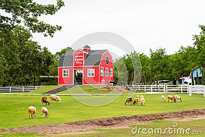 A red house in the sheep farm Editorial Stock Photo