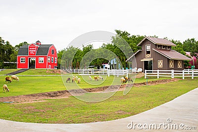 A red house in the sheep farm Editorial Stock Photo