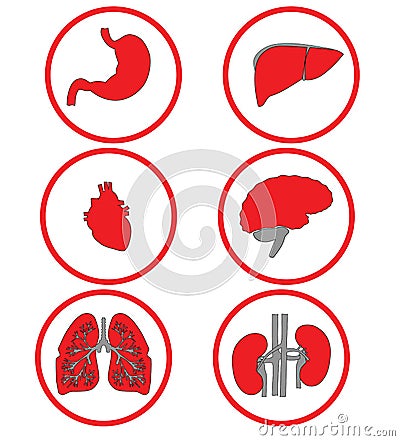 Red icons internal organs on white. Raster Stock Photo