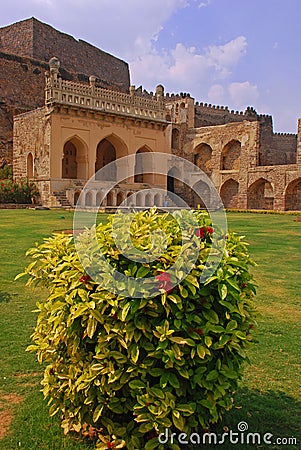 Red Ixora Plant in Golkonda Fort Stock Photo