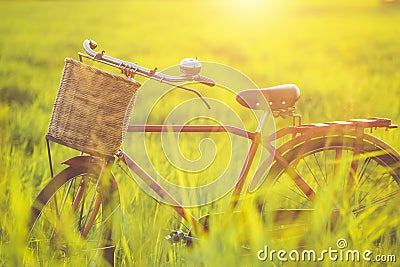 Red Japan style classic bicycle at the green field Stock Photo