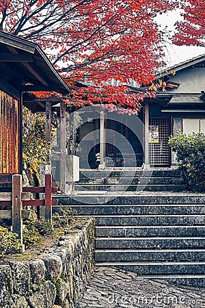 Red Japanese Maple Leaves in front of traditional house Editorial Stock Photo