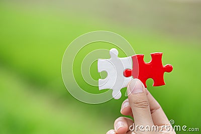 A red jigsaw in the hands of a businessman Green natural background Business concept Organization collaboration Selection of Stock Photo