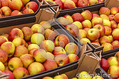 Red juicy apples in containers in a supermarket. Space for text Stock Photo