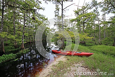 Red kayak on Fisheating Creek, Florida. Editorial Stock Photo