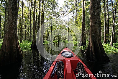 Red kayak on Fisheating Creek, Florida. Editorial Stock Photo