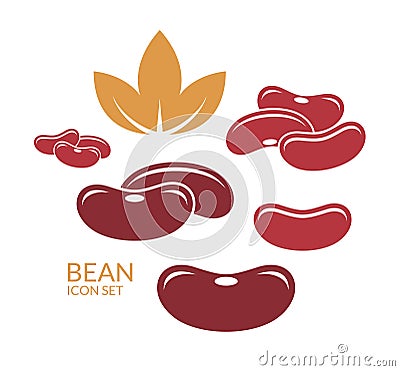 Red kidney bean Vector Illustration
