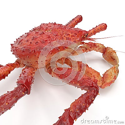 Red King Crab Kamchatka Isolated On White Background. 3D Illustration Stock Photo