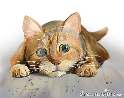 Red kitten with big eyes lying on the floor Stock Photo