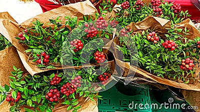 Red kokina flower with green leaves at the flower strore Stock Photo