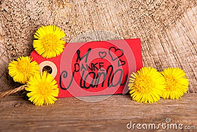 Red Label, Dandelion, Calligraphy Danke Mama Means Thank You Mom Stock Photo