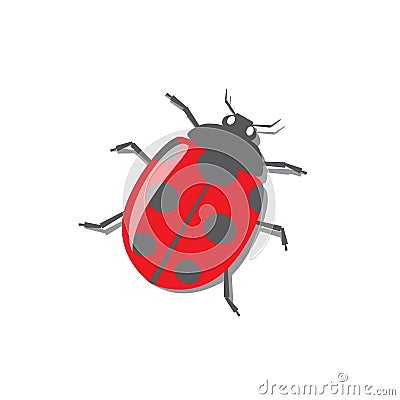 Red ladybug with shadow Vector Illustration