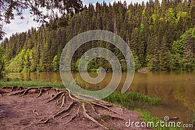Red Lake in Romania Lacul Rosu Stock Photo