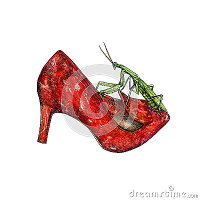 Red leather kitten heel shoes with green European mantis Mantis religiosa on it, hand painted watercolor with ink drawing Cartoon Illustration