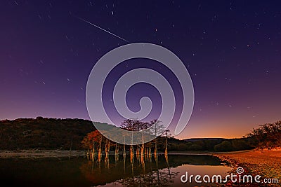 Red leaves in autumn on the branches of the swamp cypress trees in the water of a mountain lake the valley of Sukko Stock Photo